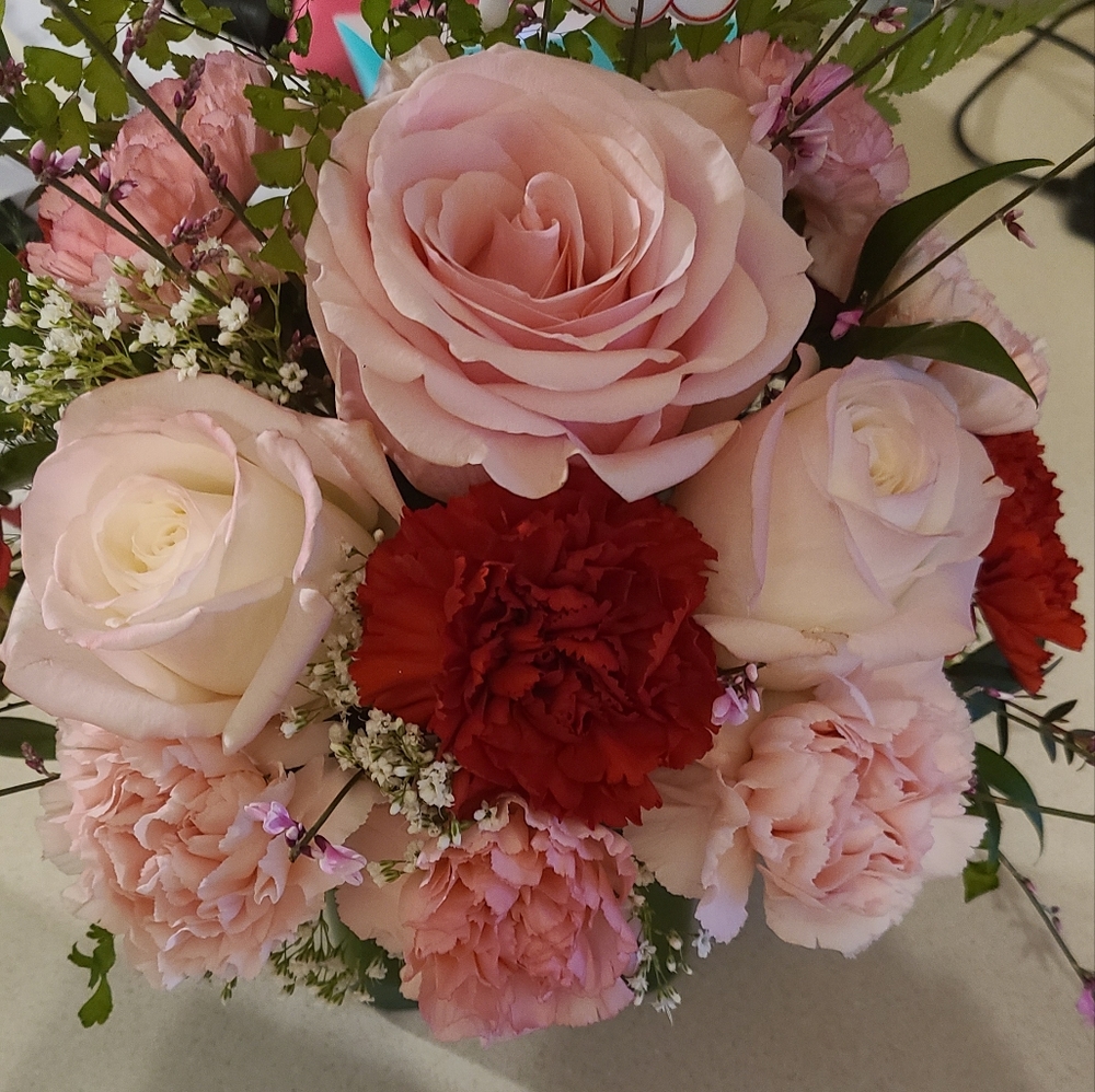 Meet your Posher, Kelsey